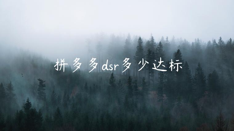 拼多多dsr多少達(dá)標(biāo)